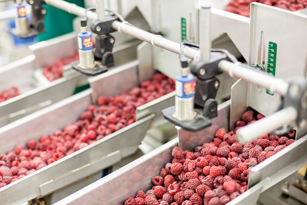 Advantages Of Using a Compact Cylinder for Food Processing Machinery